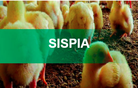 MIDAGRI - SIEA - SISPIA