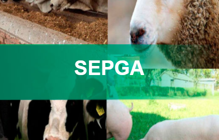 MIDAGRI - SIEA - SEPGA